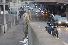 Bartaku - edible panel